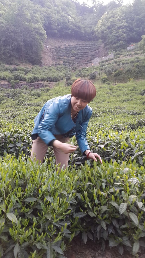 1763797808486513.jpg 13-2.jpg