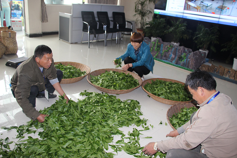 1763797818838585.jpg 13-3.jpg