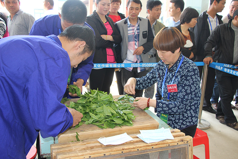 1763797827172939.jpg 13-4.jpg