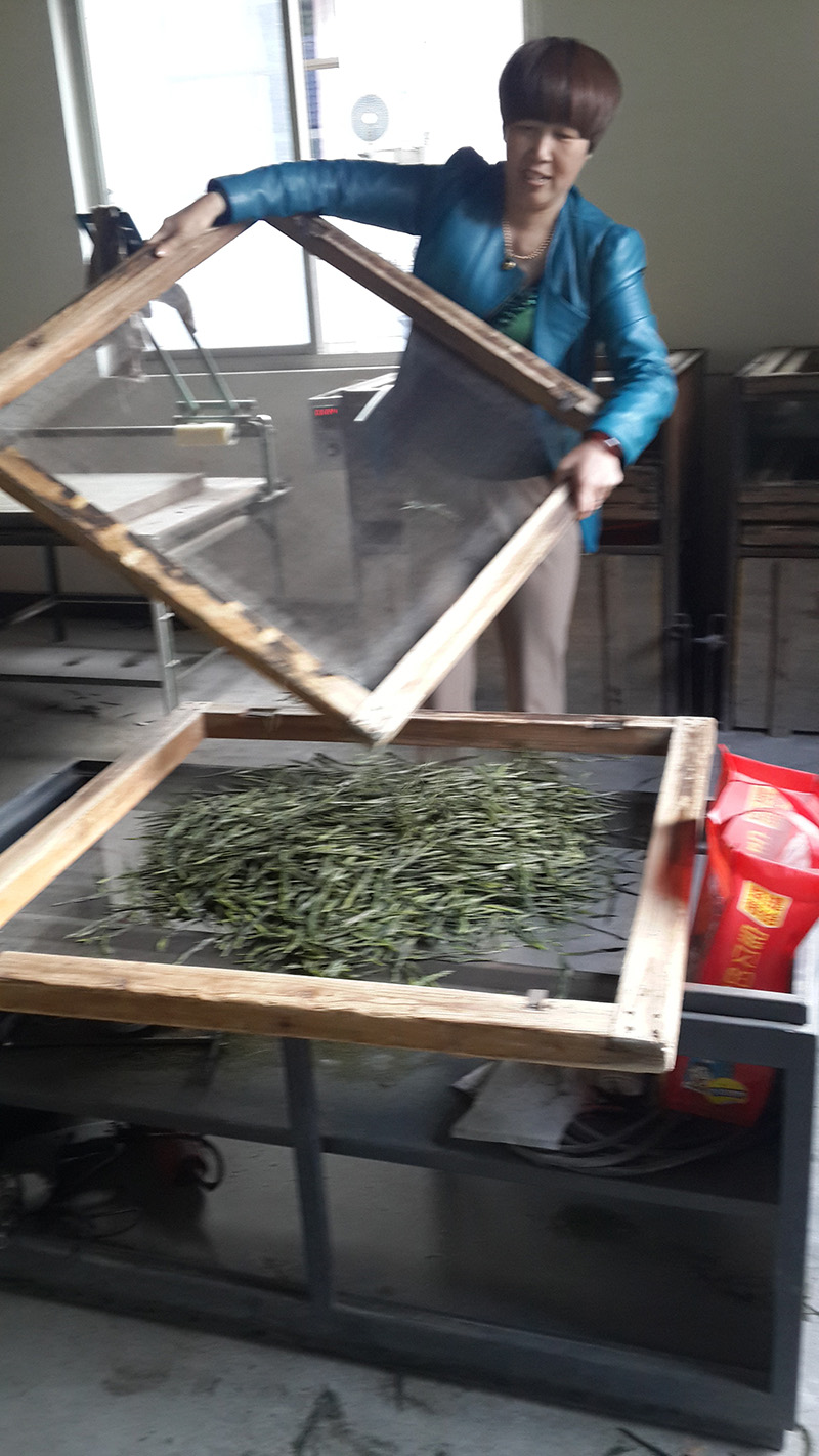 1763797868458875.jpg 13-6.jpg